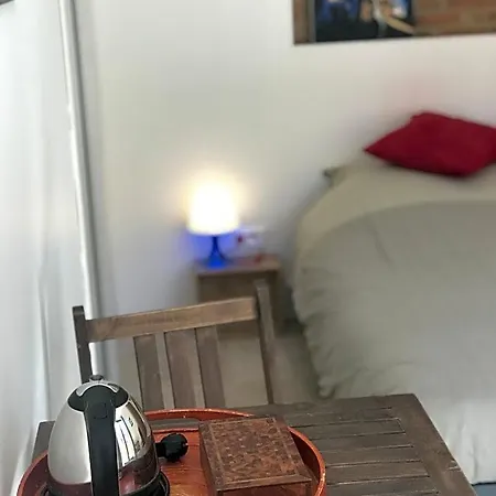 La Bulle De Gaston Bed and Breakfast Τουλούζη